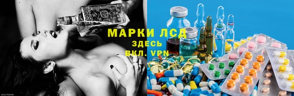 хмурый Новозыбков